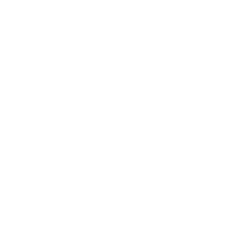 Warranty Check Icon